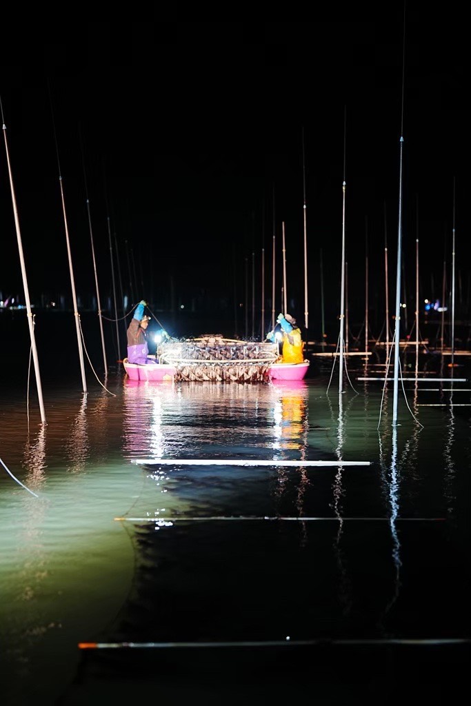 夜の海上での収穫